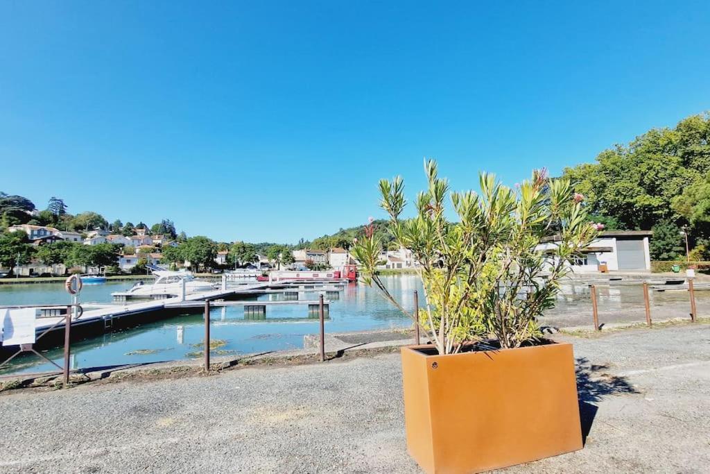 Maison, 4 A 6 Pers, Clim, Parking Prive, 2 Chambres Agen Eksteriør billede
